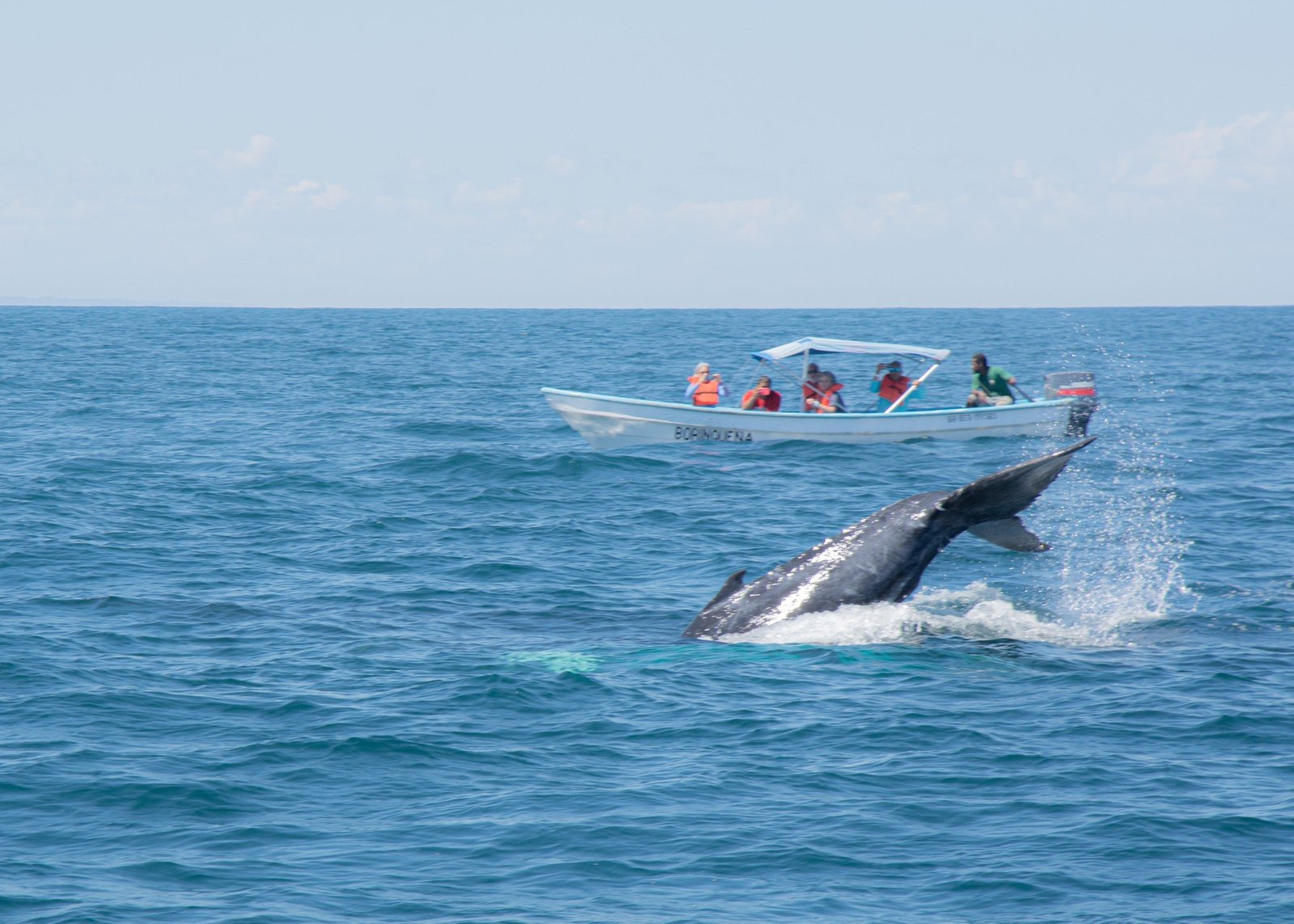 DSC_0561-scaled