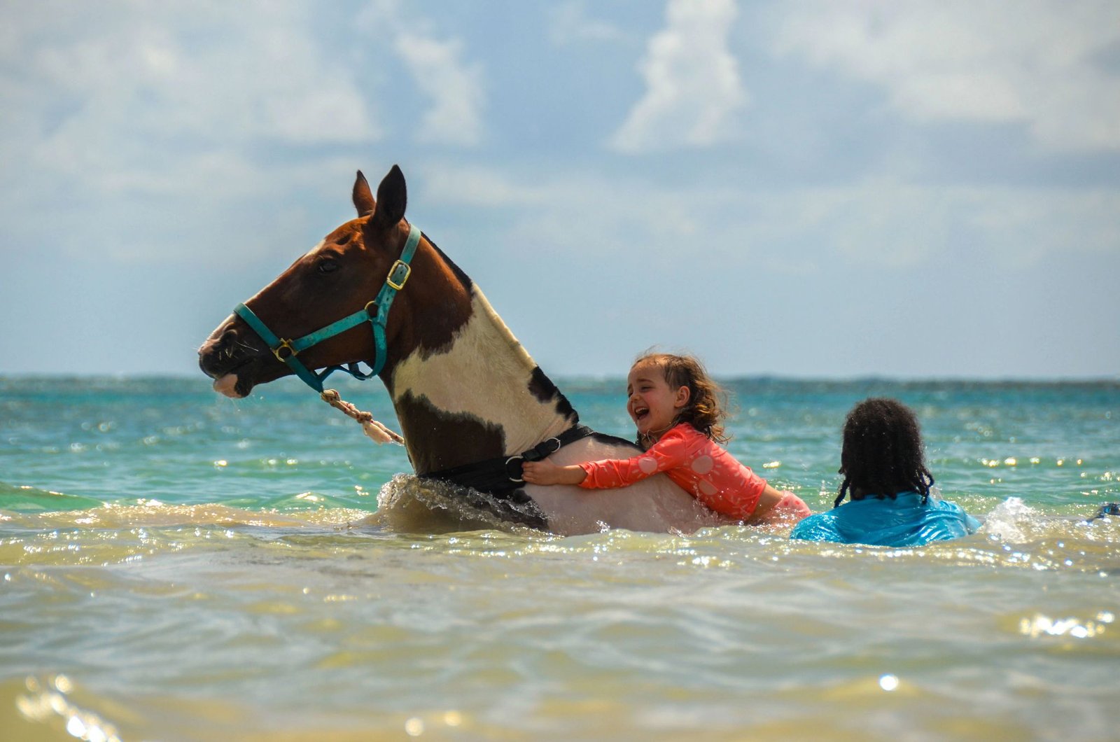 Horseback riding