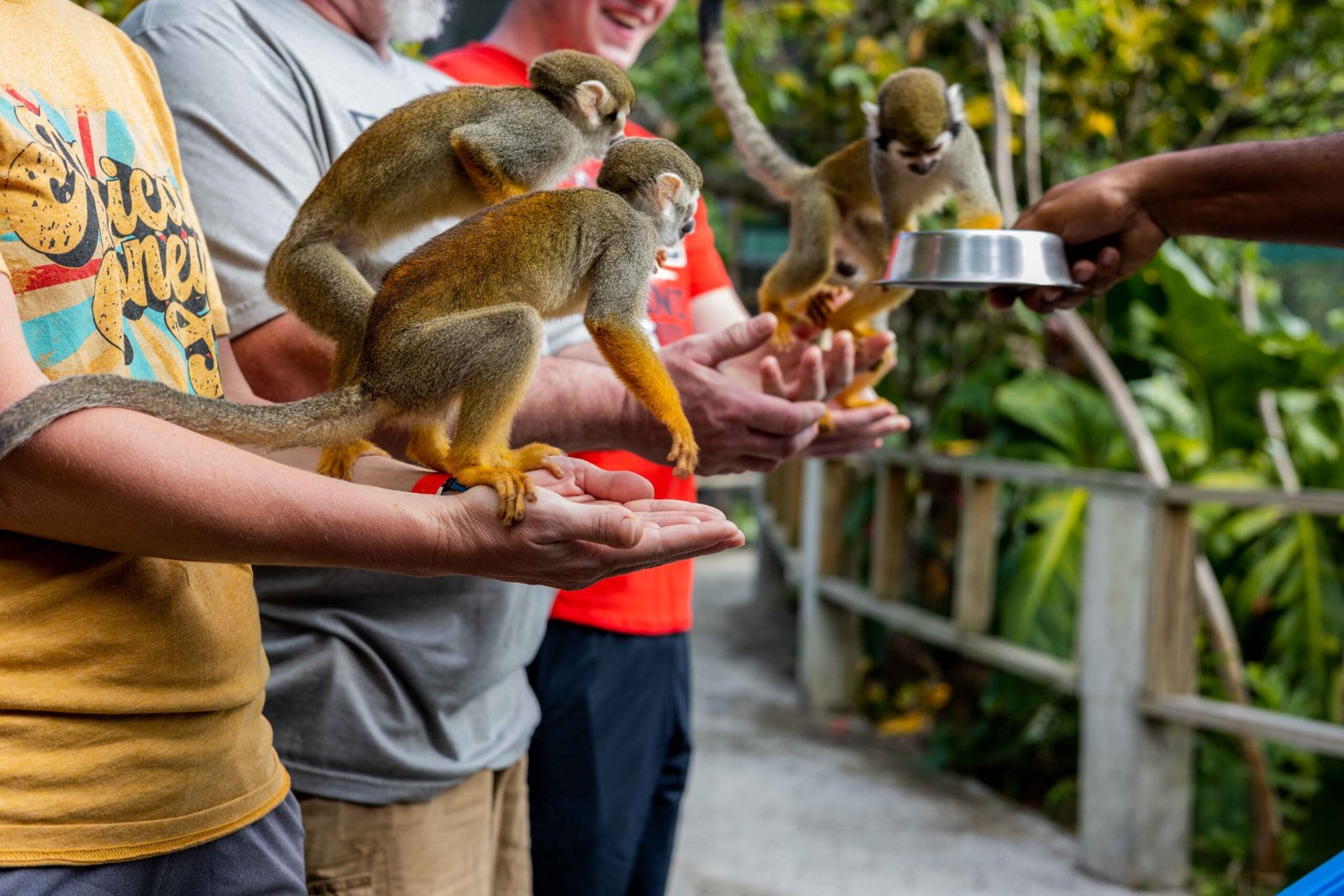 Monkeyland Anamuya 2023 (138)