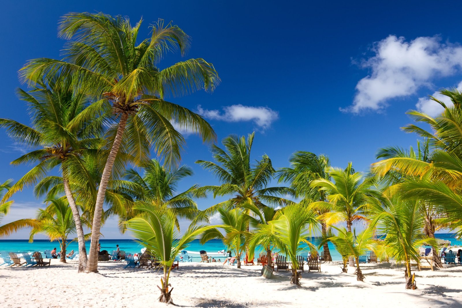 Saona Island 4
