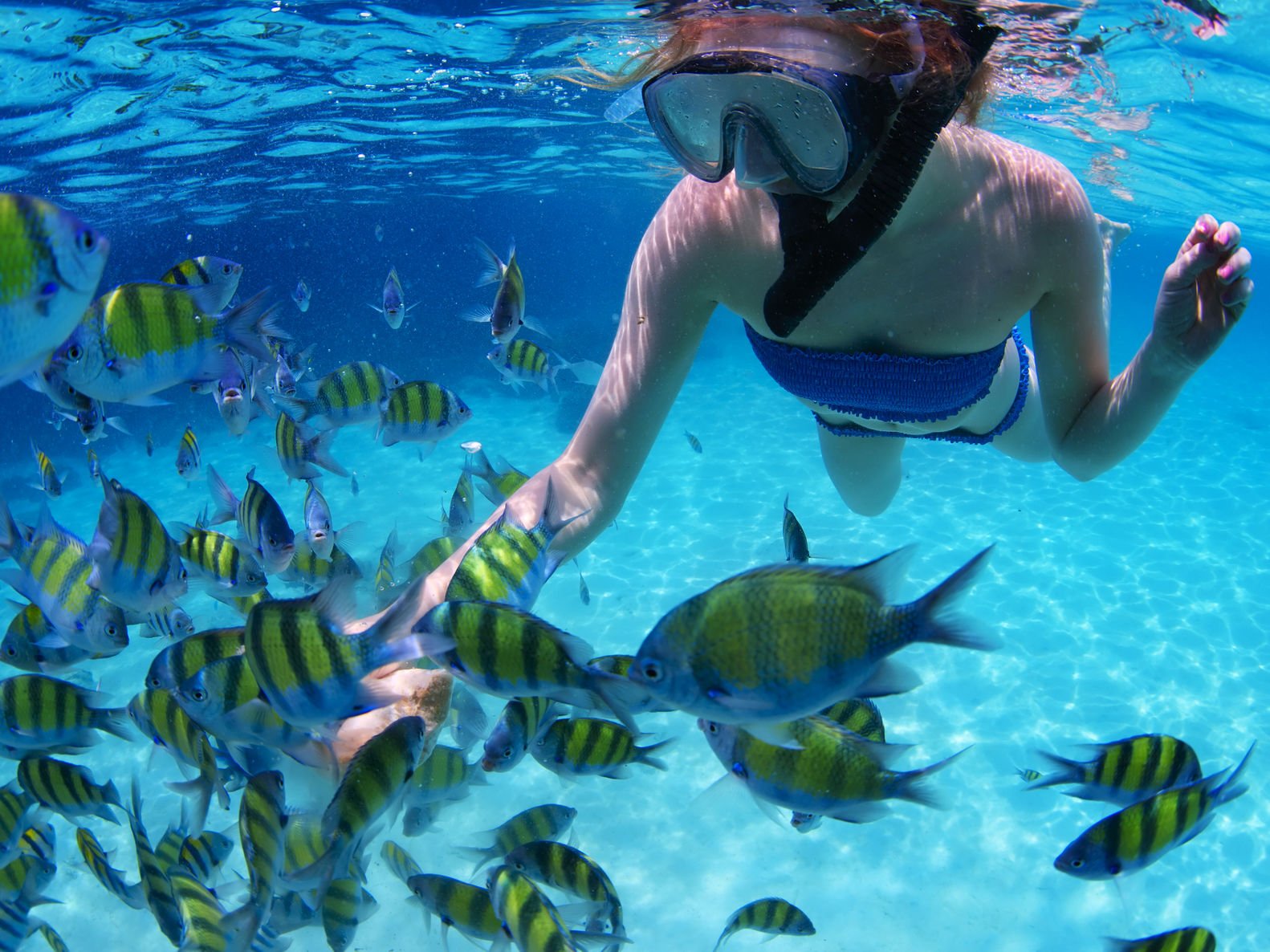 25576416 - young lady snorkeling and feeding fish in a tropoical sea