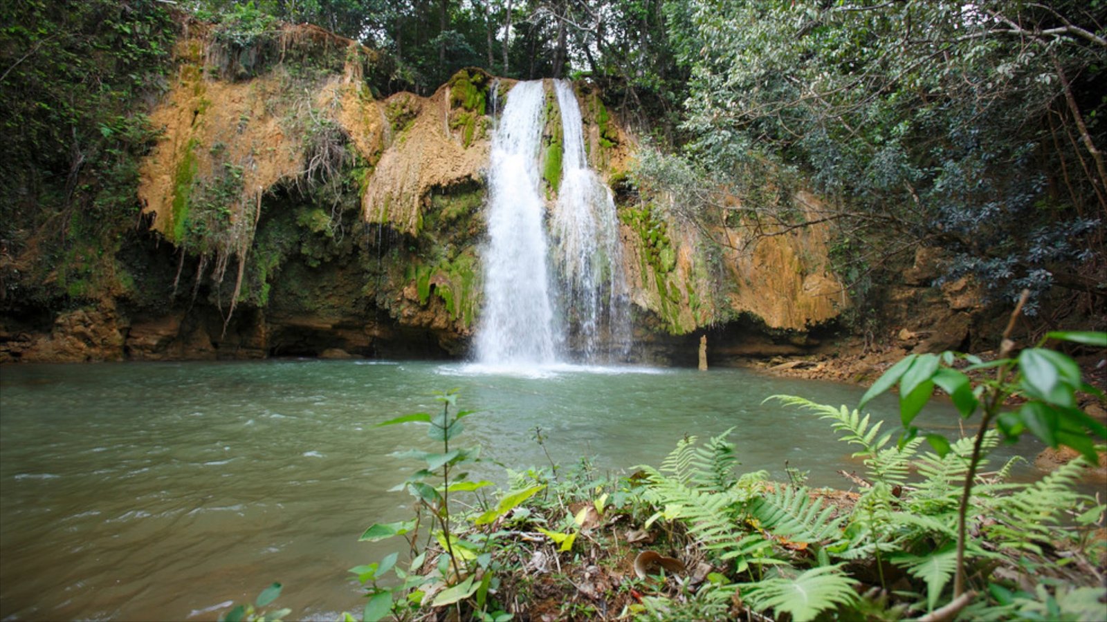 50235-El-Limon-Falls