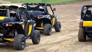 Buggy Adventure and Beach Break Cabo Rojo, Perdenales. 3