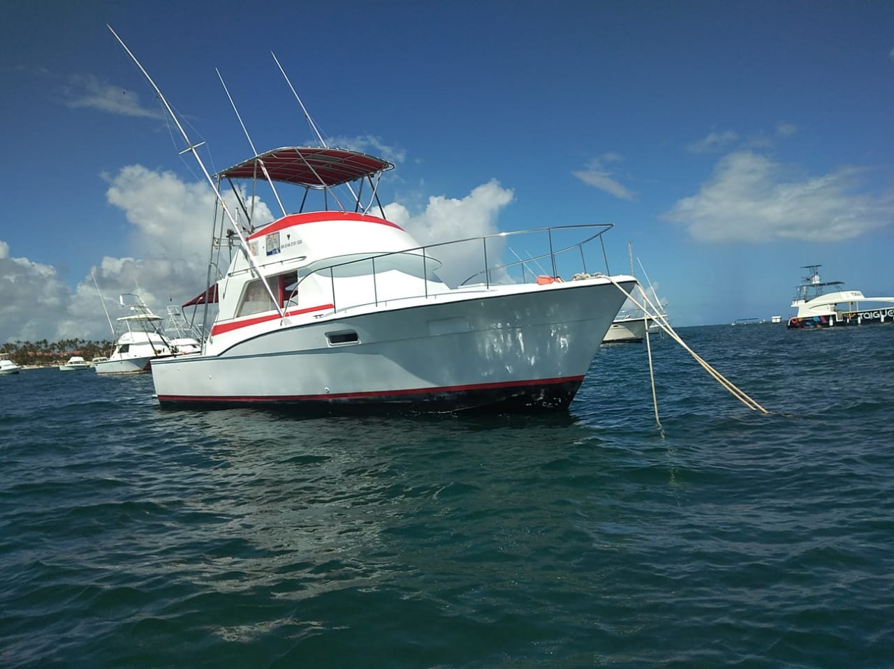 PHOTO-2024-10-15-16-39-33(1)