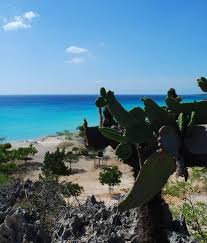 Pedernales Scenic Drive and Beach 3
