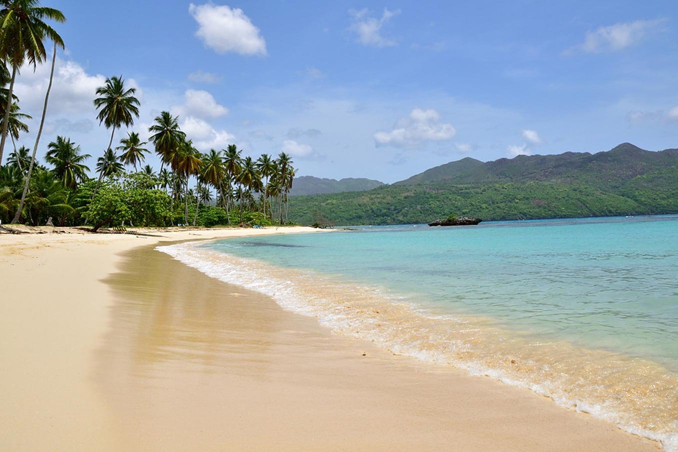 RINCON 5