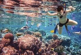 Reef Snorkel at Bahia de las Aguilas 1
