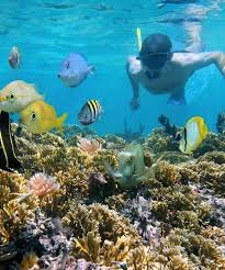 Reef Snorkel at Bahia de las Aguilas 4