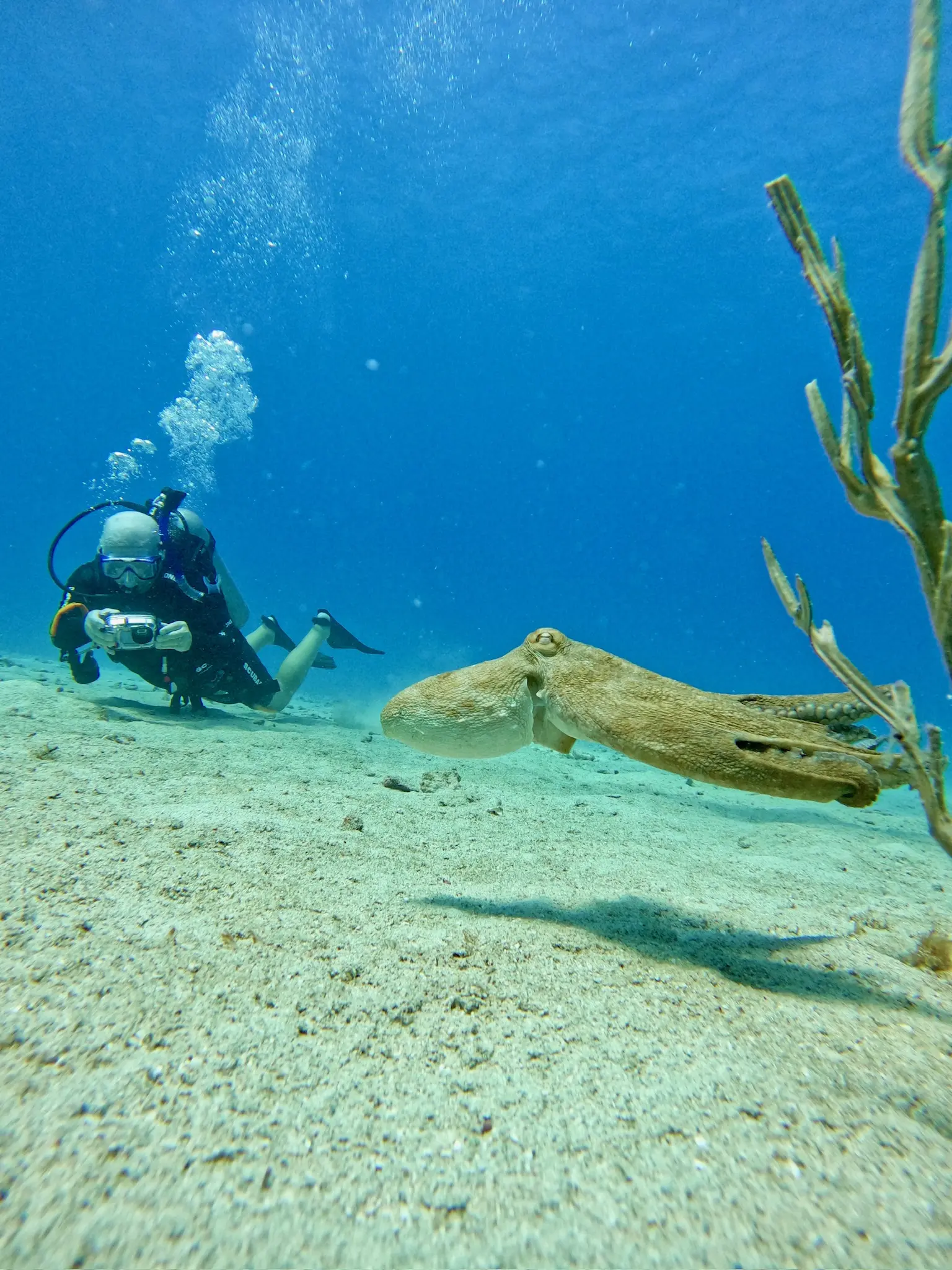 Peek Performance Buoyancy Course 2