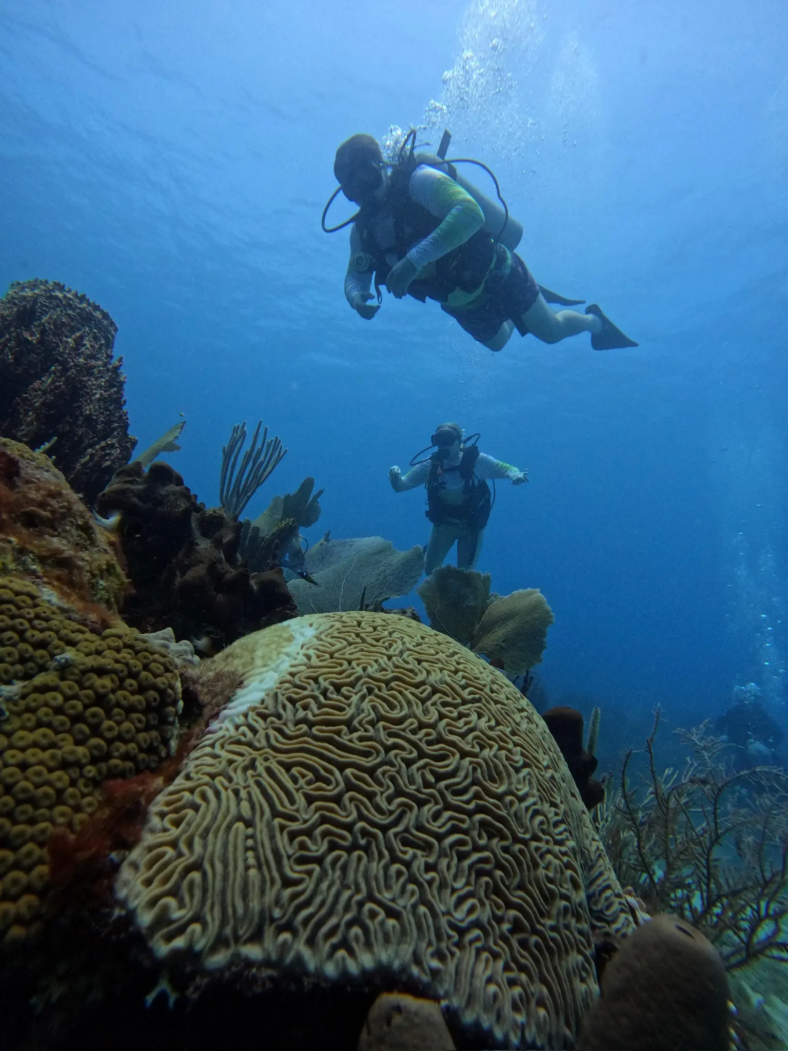 Peek Performance Buoyancy Course 3