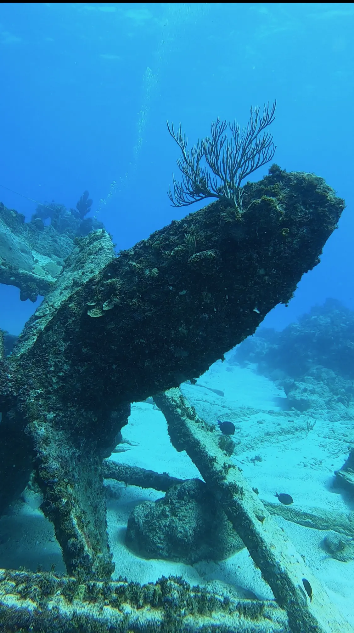 Wreck diver course 3
