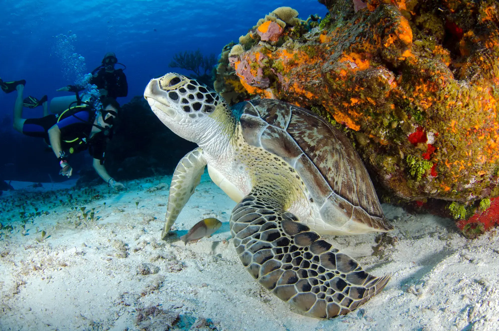 open water