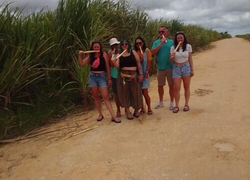 Punta Cana Cultural Tours Worth Booking