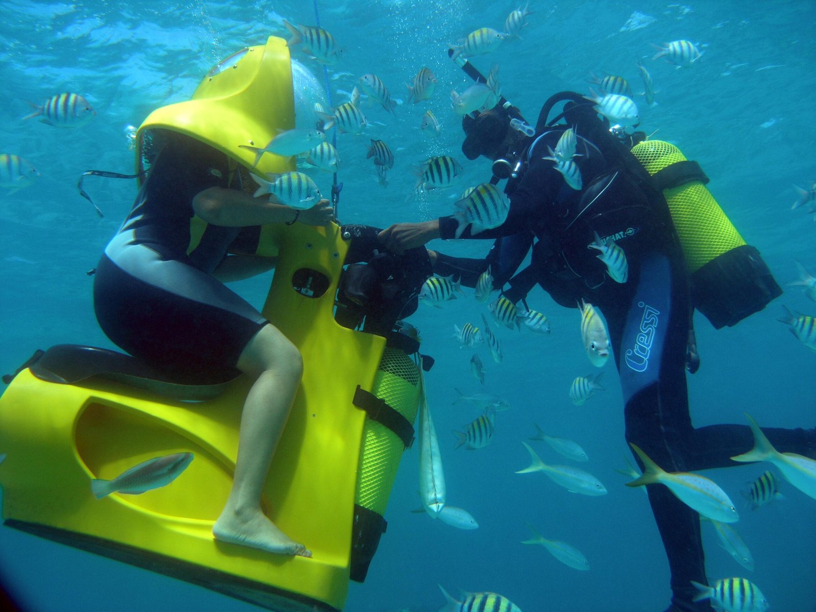 Scubadoo Punta Cana: Is It Worth It? 1