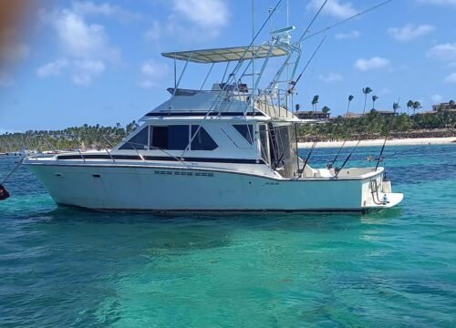 Deep Sea Fishing Punta Cana: What to Expect