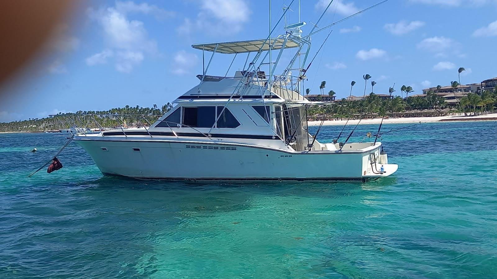 Deep Sea Fishing Punta Cana: What to Expect 1