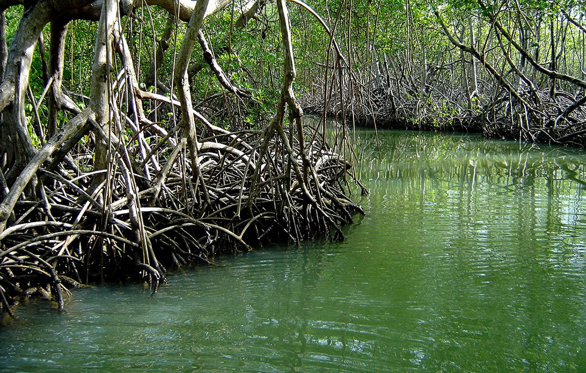 Los Haitises National Park Tour Guide 1