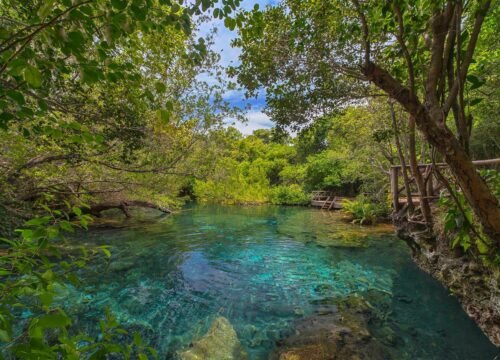 Indigenous Eyes Ecological Reserve Tour Guide