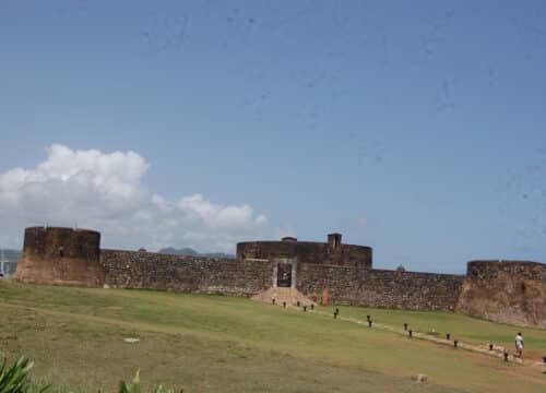 Best Puerto Plata Cruise Excursion Options