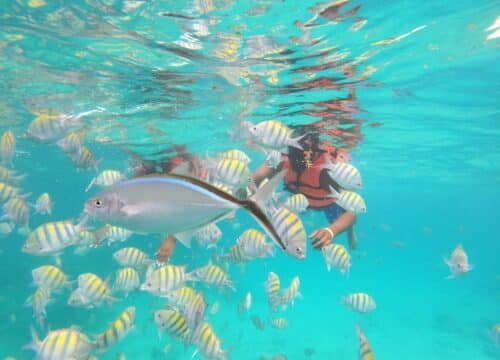 Best Snorkel Tour in Bayahibe: What to Book