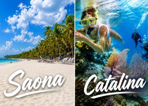 Saona Island vs Catalina Island: Which Day Trip? 7 Saona Island vs Catalina Island: Which Day Trip?