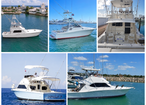 Top Punta Cana Boat Trips for Every Beach Day