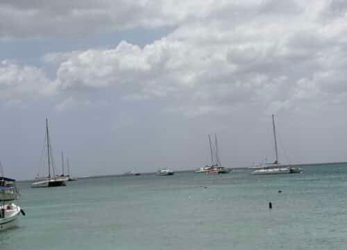 Samana Whale Tour Review: Worth the Trip?