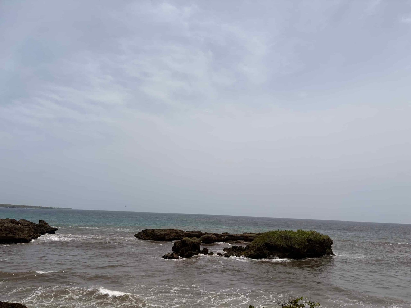 How to Plan a Samaná Whale Watching Trip 1
