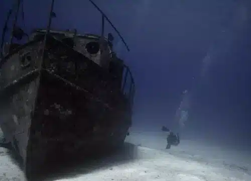 Dominican Diving: Where to Go and What to Expect