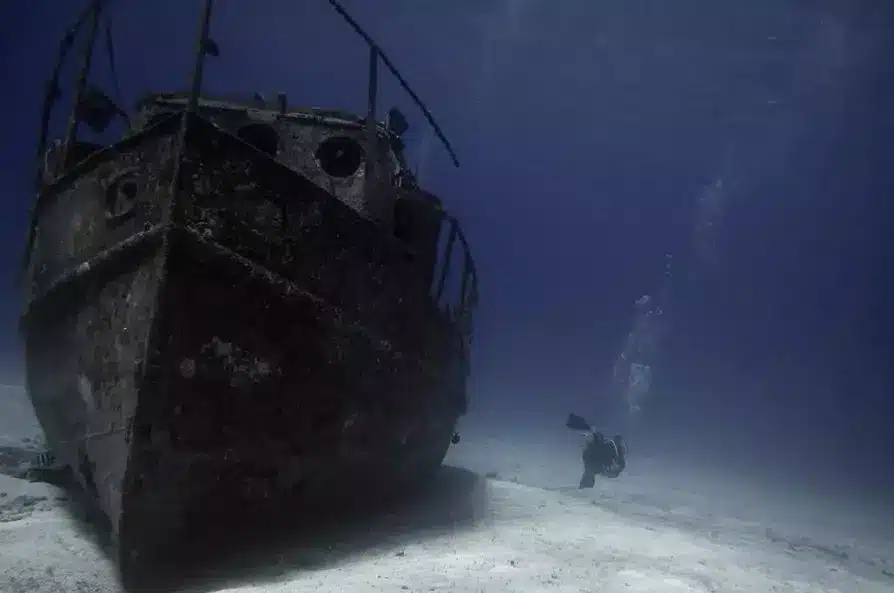 Dominican Diving: Where to Go and What to Expect 1