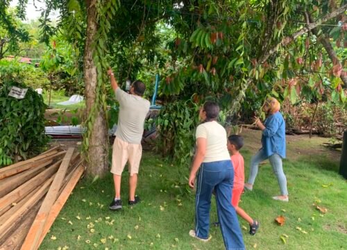 How to Find Last Minute Island Tours in DR