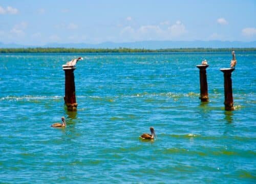 Book Punta Cana Excursions Online with Confidence