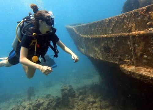 Scuba Diving Trips La Romana for Every Level